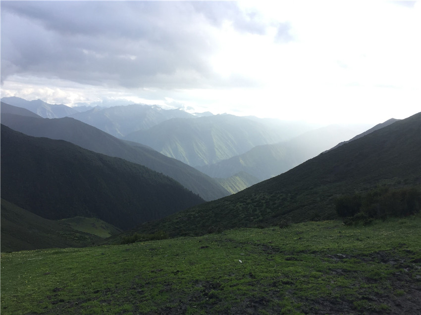 牧場(chǎng)遠眺。.jpg