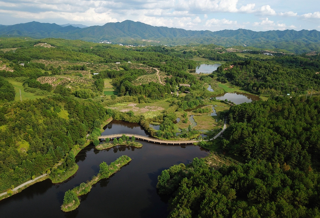 福建省龍巖市長(cháng)汀縣的長(cháng)汀汀江國家濕地公園景色（2020年7月28日攝，無(wú)人機照片）。新華社記者 魏培全 攝