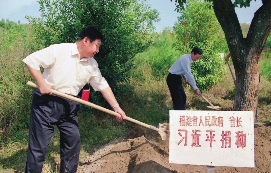 2001年10月，習近平在龍巖市長(cháng)汀縣調研水土流失治理工作，在河田世紀生態(tài)園為樹(shù)培土。圖源：《習近平在福建（下）》