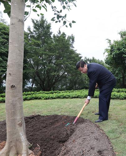 2012年12月7日至11日，習近平在廣東省考察工作。這是8日上午，習近平在深圳蓮花山公園種下一棵高山榕樹(shù)。新華社記者 蘭紅光 攝