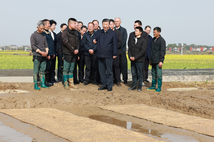 2024年3月18日至21日，中共中央總書(shū)記、國家主席、中央軍委主席習近平在湖南考察。這是19日下午，習近平在常德市鼎城區謝家鋪鎮港中坪村走進(jìn)田間，察看秧苗培育和春耕備耕進(jìn)展。新華社記者 王曄 攝